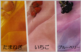 はじめての草木染め【入門】 ～身近にあるもので染めてみよう～