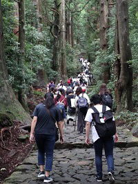 史学科研修旅行の様子