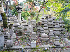 一日研修の様子