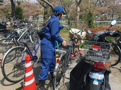 須磨妙法寺川さくらまつりの様子