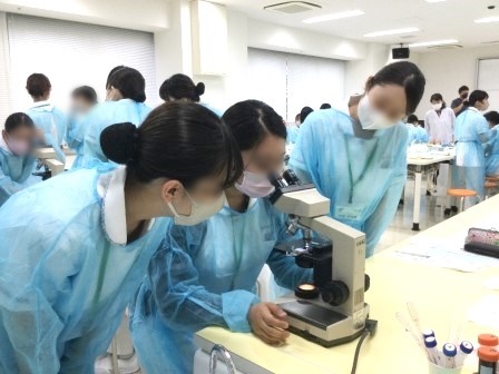 グラム染色後に口腔内常在菌を顕微鏡で観察する様子