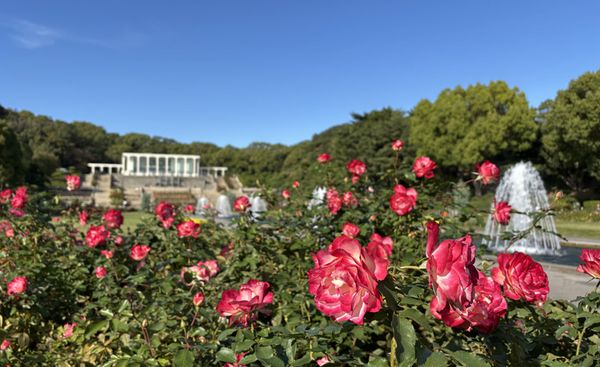 神戸女子大学 歴史ウォーク2025